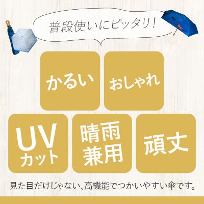 ふるさと納税 小牧市 UVカット竹傘　折りたたみ傘　イルカ　紫外線99.9%カット　晴雨兼用[089D01-01] |  | 02