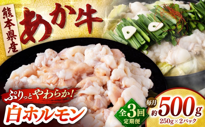 
            【全3回定期便】あか牛 白 ホルモン 500g (250g×2P) 【合同会社　長岡フーズ】 [ZFR050]
          