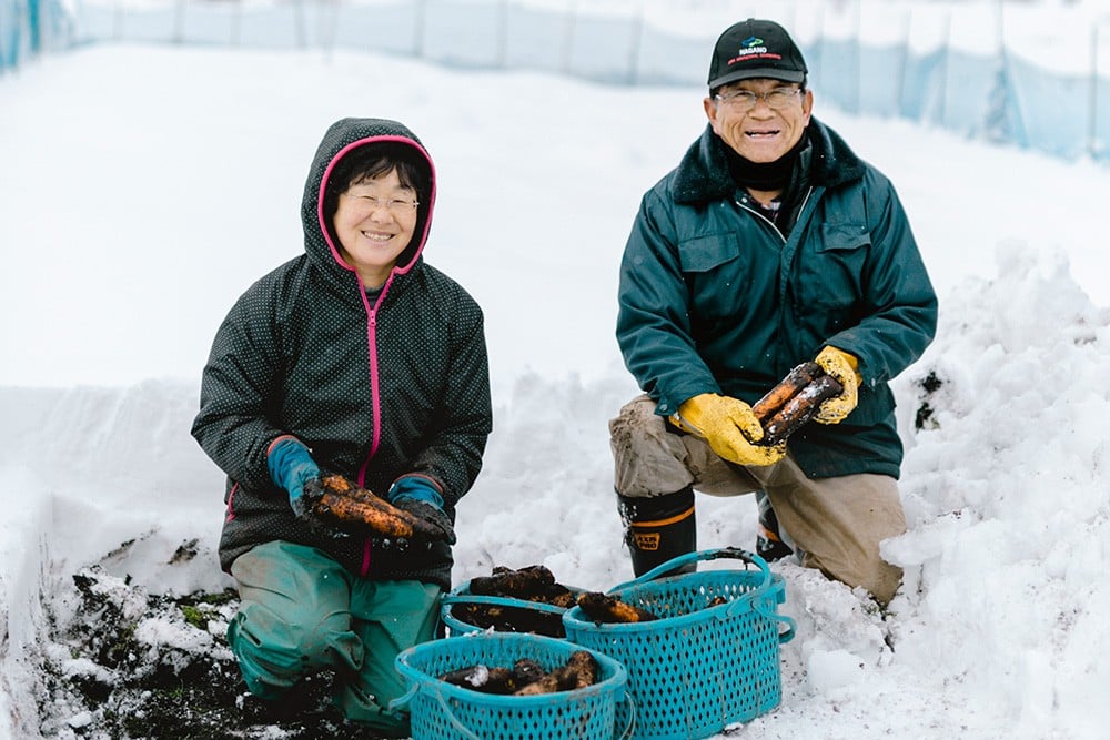 厳しい寒さに耐える、そんな野菜たちの強さが雪中野菜の凝縮された美味しさの秘密です。