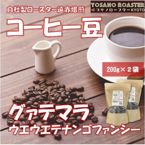 【ヨサノロースター】 コーヒー豆　グァテマラ ウエウエテナンゴファンシー　200g×2　遠赤外線焙煎【配送不可地域：離島】【1545255】