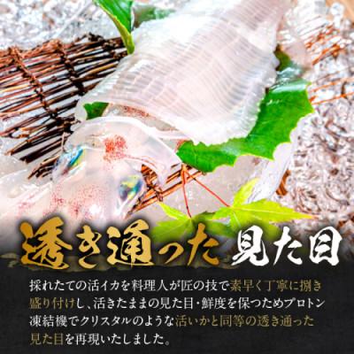 ふるさと納税 京丹後市 京丹後産『海の京都』の逸品!活白イカ姿造り(クリスタル白いか)大サイズ 1杯(300g前後) 冷凍 |  | 01