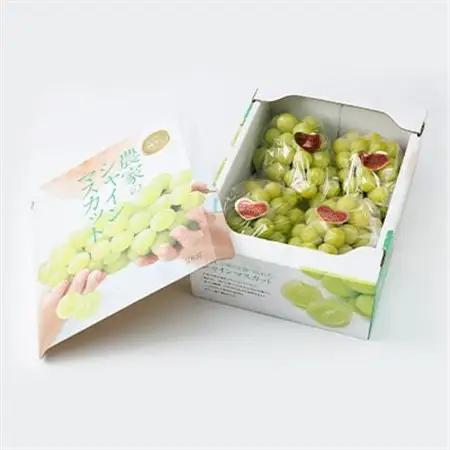 【訳あり】岡山県産シャインマスカット(ご家庭用)約2kg_果物・フルーツ ぶどう・マスカット  ブドウ 葡萄 _【配送不可地域：離島・北海道・沖縄県】【1321280】