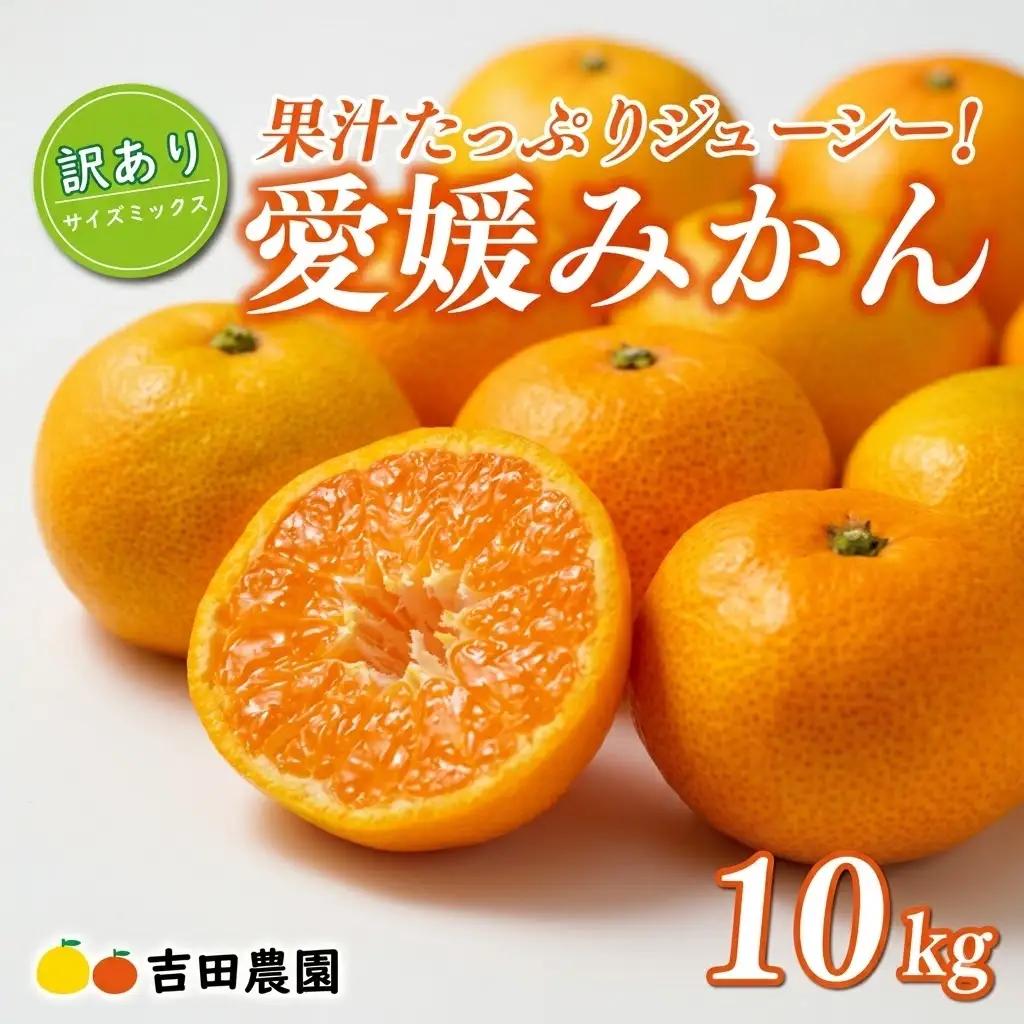 【愛媛みかん】 訳あり 10kg みかん