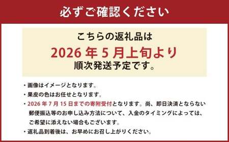 熊本県産 小玉スイカ 2玉 【2026年5月上旬発送開始】 果物 フルーツ スイカ 小玉 旬 旬のフルーツ