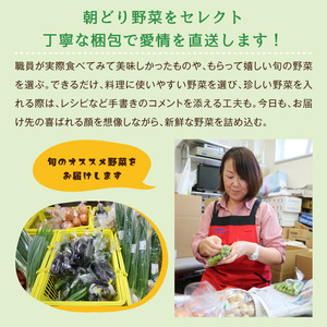 小野市産季節の野菜セット！