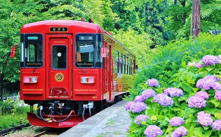 観光 列車 「ながら」 スイーツ プラン 予約券（シングル） | 長良川鉄道 M28S13