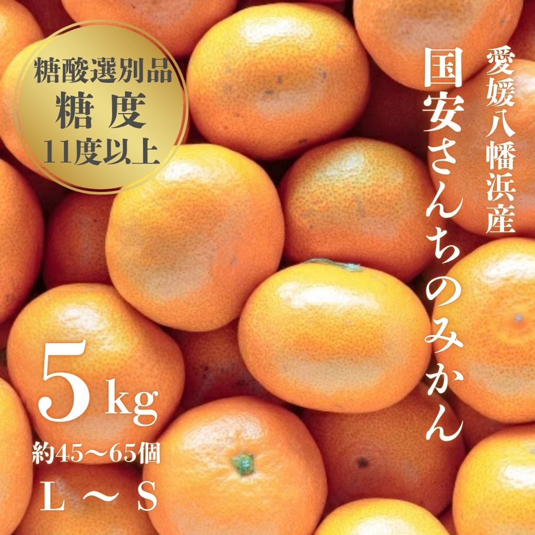 【ふるさと納税】【糖度11度以上 酸1.0以下 糖酸選別品】愛媛みかん 5kg【D20-49】_【1594923】 YWTI044