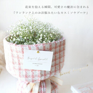 かすみそう「ツイードブーケ」 かすみ草 カスミソウ 花束(小さいサイズ) 【 カスミソウ ブーケ 花 花束 花ギフト 】