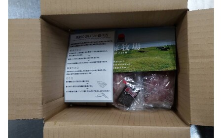 〈令和6年10月出荷〉肥後の桜馬刺し 上赤身 200g 馬肉 馬 国産 国内肥育 希少 肉刺し 真空パック 専用醤油付き 本場 老舗専門店 ギフト 贈答用 熊本 阿蘇 南小国町 送料無料 高レビュー 