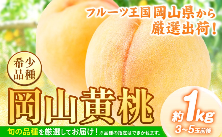 桃 【先行予約】 岡山県産 岡山黄桃 約1kg《2025年8月下旬-9月下旬頃出荷》 黄桃 フルーツ 果物 先行予約 数量限定 岡山 矢掛町 桃 モモ もも 送料無料 黄金桃 お取り寄せ---ofn_cgp_p8_25_10000_1000---