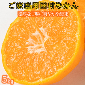 G7342_高級ブランド 田村みかん 5kg【家庭用 訳あり】