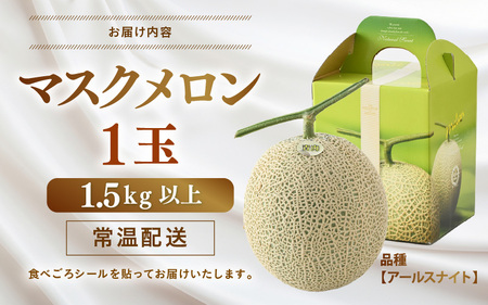【先行予約】青肉アールスナイトメロン 秀品 1玉（1.5kg以上）【アールス系青肉メロン】《糖度16度程度！1株1果採りで育てる高級メロン！》／ 果物 フルーツ 農家直送 青肉 マスクメロン アールス