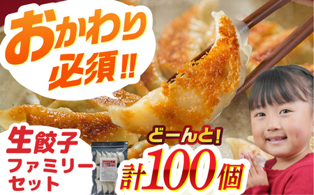 餃子 「新助」の餃子 ファミリーセット(100個入り) [ANHL003] 餃子