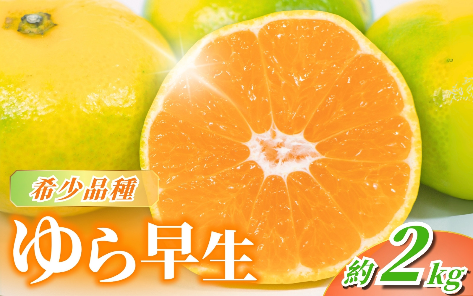 
            【先行予約】＼数量限定／ ＼農家直送／甘くて濃厚！希少品種 ご家庭用 ゆら早生みかん　約2kg　サイズ混合【2025年10月上旬頃より順次発送】 / みかん ミカン 有田みかん 温州みかん 柑橘 有田 和歌山 産地直送  くだもの 果物 フルーツ 柑橘類 和歌山 すさみ町【nuk143D】
          