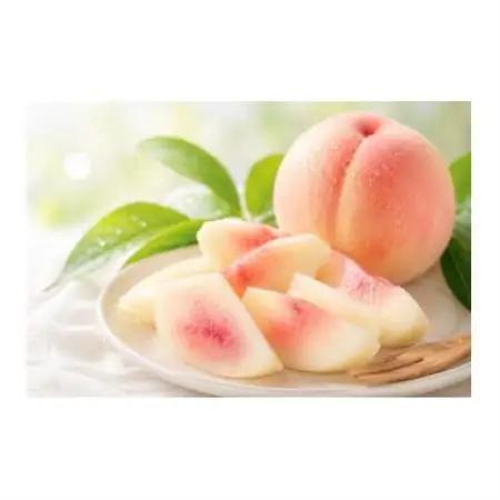 【先行予約】岡山の白桃・約2kg(5～9玉)7月下旬頃から9月上旬頃順次発送予定【配送不可地域：離島】【1742410】