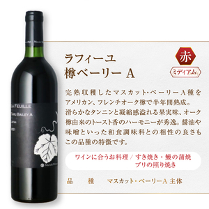 エムズギフトが贈る『まるき葡萄酒おススメ6本セット』（MG）E-622【ワイン まるき葡萄酒 白ワイン 赤ワイン 甲州市 山梨県】