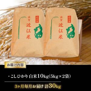 令和6年産 新米 こしひかり 定期便 10kg 全3回 白米 5kg × 2袋 3ヶ月 近江米 コシヒカリ 国産 お米 米 おこめ ごはん ご飯 白飯 しろめし こめ ゴハン 御飯 滋賀県産 竜王 ふ