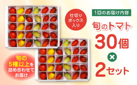 【全3回定期便】【期間限定】熊本県産 減農薬栽培 トマト ミディトマト 詰め合わせ 30個×2セット 計60個 食べ比べ ギフトセット 産地直送【矢仁田農園】[YDE016]