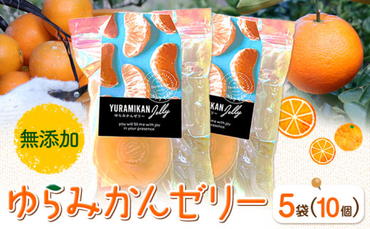 ゆらみかんゼリー 2個入り 5袋 Farm＆lab 《30日以内に発送予定(土日祝除く)》和歌山県 日高町 みかん 柑橘 果物 無添加 ゼリー みかんゼリー