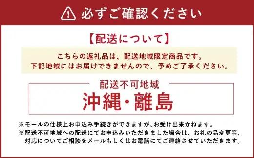 会津若松産 特A常連米！ （ AiZ’S-RiCE ） 5kg × 2袋 合計10kg コシヒカリ お米 米 こめ コメ 白米 精米 白飯 飯 ご飯 おにぎり ブランド米 会津米 国産 福島県産