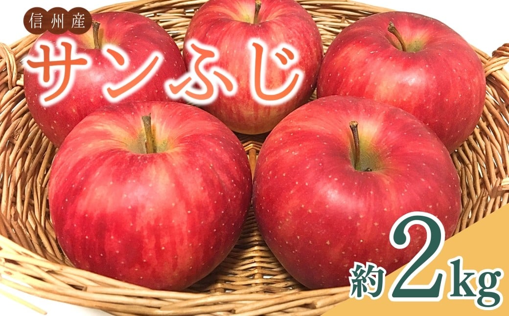 
            【2025年先行予約】りんご サンふじ 約2kg ザ・王道りんご 林檎 さんふじ サンフジ 千曲市 長野県産 信州
          