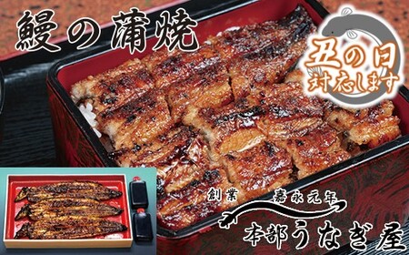 【土用の丑の日】本部うなぎ屋　国産鰻の蒲焼（３尾）＜4.6-1＞