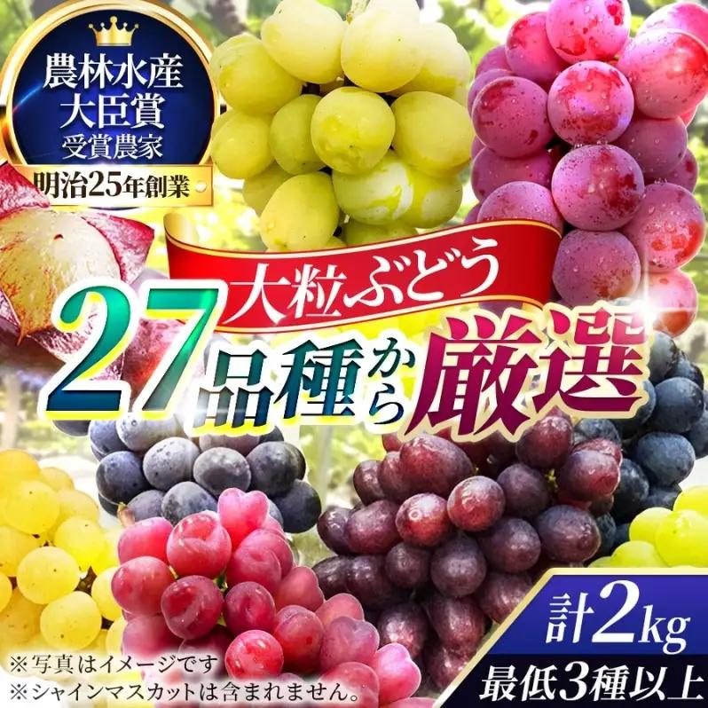 【2026年先行予約】27種の大粒品種から届く「秋の大粒ぶどう宝石箱」（シャインマスカット含まず）約2kg（9月中旬～下旬発送分）|ぶどう 詰合せ 希少 セット 大粒  残暑見舞い 敬老の日 葡萄 ブドウ 果物 フルーツ くだもの 大阪 贈答 プレゼント