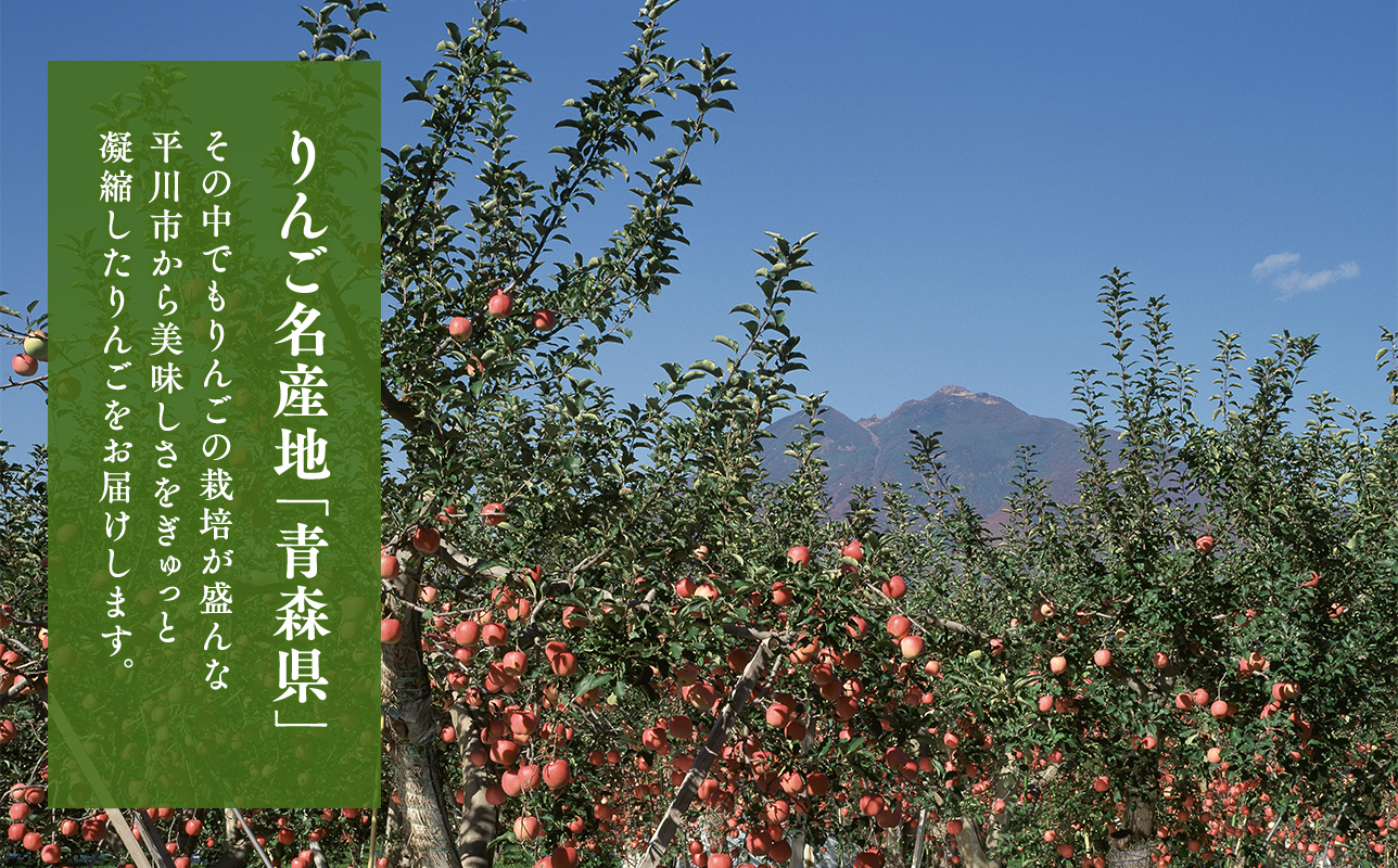 12月 発送【訳あり】家庭用サンふじ約5㎏【サンふじ・りんご・青森・平川・訳あり・家庭用・原田青果・５㎏】