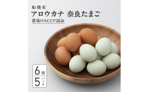 生で食べて美味しい　アロウカナ　奈良たまご　30個セット　6個×5パック　幸せの青いたまご　奈良養鶏園　農場HACCP認証　船橋産　希少　卵　玉子　鶏卵　たまごかけご飯　TKG