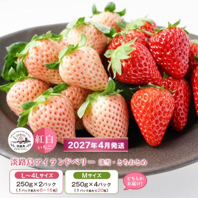 ふるさと納税 淡路市 淡路島アイランドベリー　紅白いちご 2〜4P入【4月発送予約受付・お届け日指定不可】　as14046