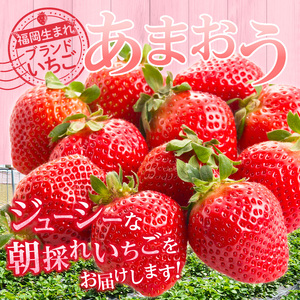 福岡県産【特別栽培】特選DX等級完熟あまおう　270g×4パック_福岡県産 特別栽培 特選 DX等級 完熟 あまおう 270g × 4パック 計 1080g 自然の恵み 濃厚 大粒 ジューシー 朝採れ