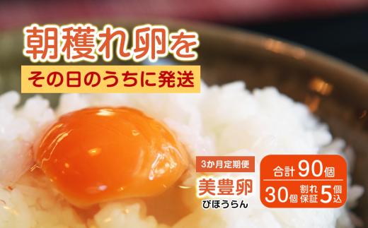 【3か月定期便】 たまご 卵 美豊卵 熊福 30個 定期便 玉子 タマゴ 鶏卵 オムレツ 卵かけご飯 朝食 料理 人気 たまご焼き TKG たまごかけごはん エッグ ふるさと納税 送料無料 【四国中央市 日本一 紙のまち】