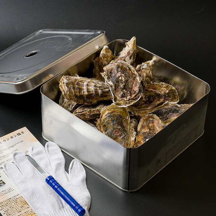 【ふるさと納税】 殻付き牡蠣 カンカン焼きセット 冷凍 2kg 加熱用 宮城県産 牡蛎 牡蠣 カキ かき オイスター カキフライ 牡蠣鍋 海鮮 国産 魚貝類 バーベキュー BBQ【カタクチ商店株式会社】sh187