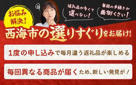 3回定期便 肉と海 西海の宝物定期便 | [CZZ020] 定期便