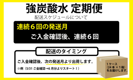 【定期便】連続6回 強炭酸水（500ml）1ケース（計24本） 水・ミネラルウォーター Q039-002