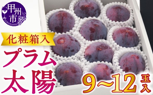 【宿沢フルーツ農園】プラム『太陽』（9～12玉）【2026年発送】（SF）B-194 【太陽 すもも スモモ 令和8年発送 期間限定 山梨県産 甲州市 フルーツ 果物】