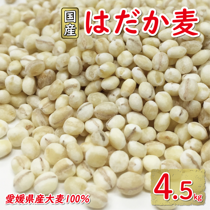 はだか麦 900g 5個セット 10000円 国産 大麦 麦 麦ごはん むぎごはん 水溶性 食物繊維 腸内環境 ダイエット 健康 マルヤス味噌 愛南町 愛媛県