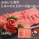 【ふるさと納税】おおいた和牛 食べ比べセット（上カルビ＆上ロース）【合計600g】小分け 中津市 大分県産 九州産 国産 冷凍 送料無料