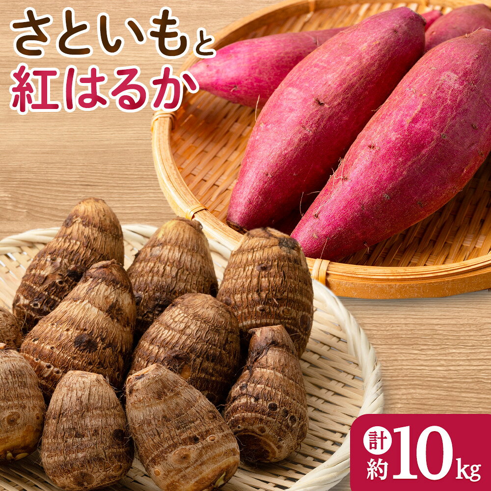 【ふるさと納税】＜先行予約受付中！10月上旬～2月下旬発送予定＞さといもと紅はるかのセット(約10kg) 【鳥取県 境港市】 | さといも 里芋 サトイモ 紅はるか さつまいも サツマイモ 芋 いも 野菜セット 詰め合わせ セット