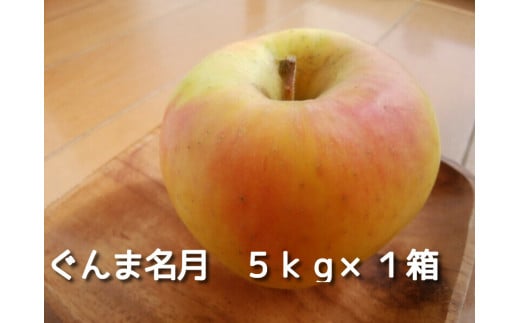 【数量限定】ぐんま名月　５ｋｇ×１箱