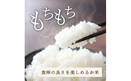 新米 令和７年産 市川町産 コシヒカリ（NICOMARU農場）精米5kg 　013NM01N./ コシヒカリ 精米 お米 ご飯 ごはん 市川町