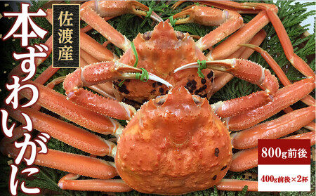 佐渡産 本ずわいがに 800g前後（400g前後×2杯）
