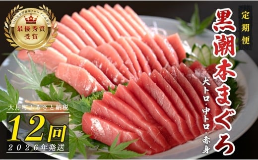 【定期便12回】日本一!黒潮本まぐろ 大トロ・中トロ・赤身 3種セット