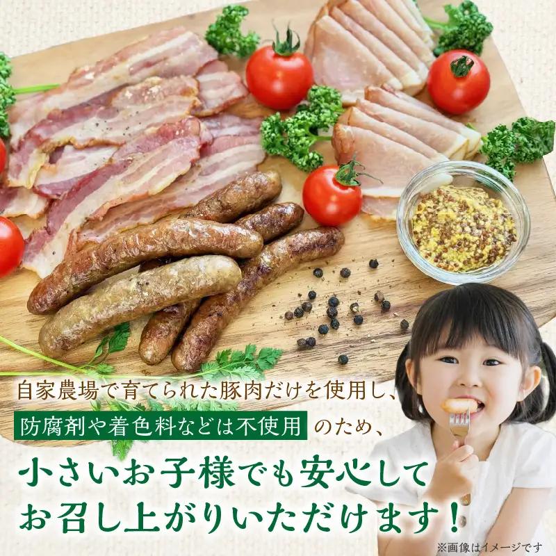 フレンズハム 手造り厳選セット ( お肉 にく ウインナー ベーコン ハム プレスハム ロースハム 生ハム ソフト サラミ 厳選 セット おつまみ 贈答 贈り物 ギフト プレゼント )【047-000