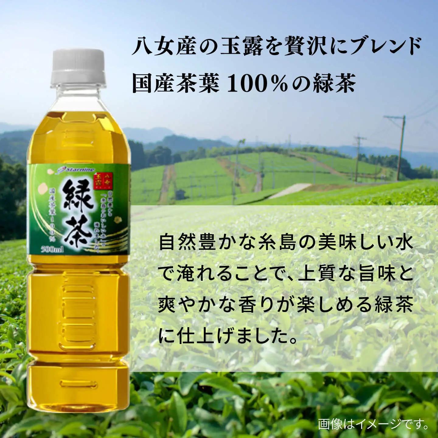 緑茶 ペットボトル 500ml 24本 八女玉露入り緑茶 お茶 [ARM004]