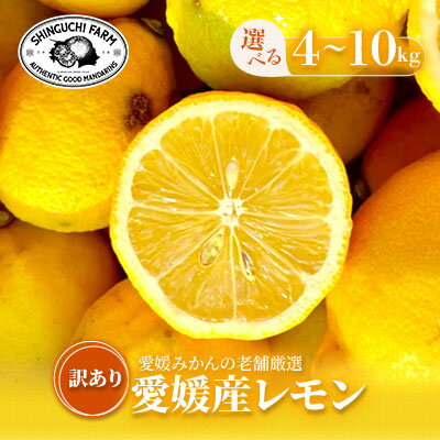 【ふるさと納税】【太陽の恵みをギュッと凝縮】訳あり 愛媛レモン 　4kg / 5kg / 10kg_ レモン れもん 檸檬 訳あり 愛媛県 国産 防腐剤不使用 ワックス不使用 果物 くだもの フルーツ かんきつ 柑橘 柑橘類 産直 産地直送 八幡浜市 家庭用 お菓子 【G1622582】