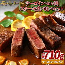 【ふるさと納税】長崎和牛サーロイン・ヒレ肉ステーキ食べ比べセット