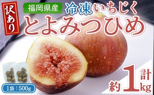 ＜不揃い・訳あり＞ 冷凍いちじく博多 とよみつひめ (計約1kg) 冷凍 いちじく イチジク フルーツ 果物 くだもの 福岡限定 オリジナルブランド＜離島配送不可＞【ksg1756】【農産物直売所ほたるの里】