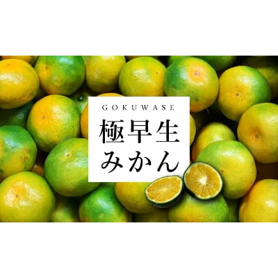 三代目がつくる青みかん(極早生みかん)5kg【C31−15】【1042517】