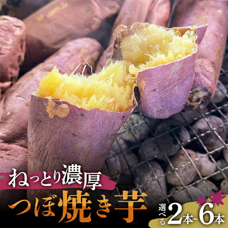 【ふるさと納税】＼選べる本数／爆甘！甘みと風味が凝縮 ねっとり濃厚つぼ焼き芋 2本 4本 6本 やきいも おやつ デザート スイーツ 福島県 白河市 F25R-160var